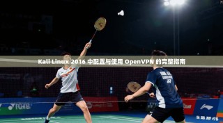 Kali Linux 2016 中配置与使用 OpenVPN 的完整指南