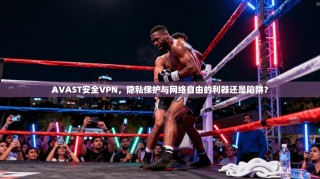 AVAST安全VPN，隐私保护与网络自由的利器还是陷阱？