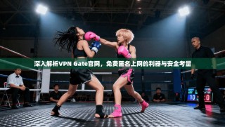 深入解析VPN Gate官网，免费匿名上网的利器与安全考量