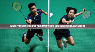 NS用户如何选择与配置合适的VPN服务以保障网络隐私与访问自由