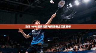 泡泡 VPN 使用指南与网络安全深度解析