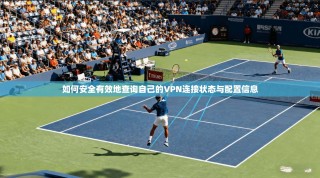 如何安全有效地查询自己的VPN连接状态与配置信息