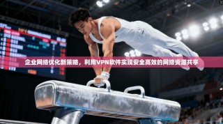 企业网络优化新策略，利用VPN软件实现安全高效的网络资源共享