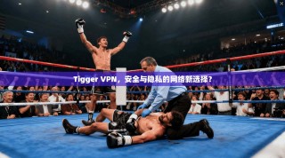 Tigger VPN，安全与隐私的网络新选择？