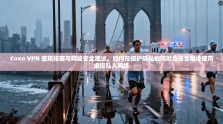 Coxo VPN 使用指南与网络安全建议，如何在保护隐私的同时合法合规地使用虚拟私人网络