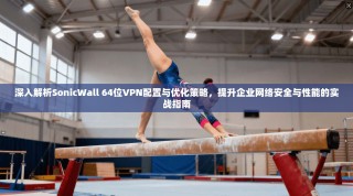 深入解析SonicWall 64位VPN配置与优化策略，提升企业网络安全与性能的实战指南