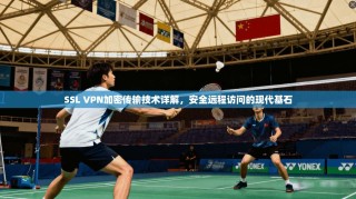 SSL VPN加密传输技术详解，安全远程访问的现代基石