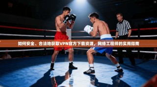 如何安全、合法地获取VPN官方下载资源，网络工程师的实用指南