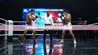 国内线路VPN技术解析与合规使用指南