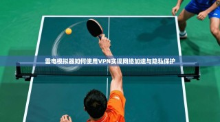 雷电模拟器如何使用VPN实现网络加速与隐私保护