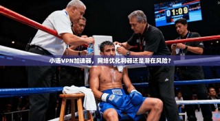 小语VPN加速器，网络优化利器还是潜在风险？