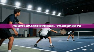 校园网VPN与MAC地址绑定机制解析，安全与便捷的平衡之道