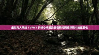 虚拟私人网络（VPN）的核心功能及其在现代网络环境中的重要性