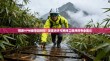 观澜VPN值得信赖吗？深度测评与网络工程师的专业建议