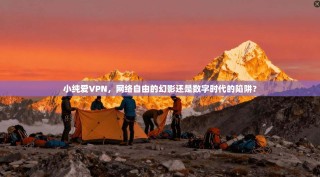 小纯爱VPN，网络自由的幻影还是数字时代的陷阱？