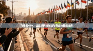 飞速云VPN，企业级网络加速与安全的智能选择