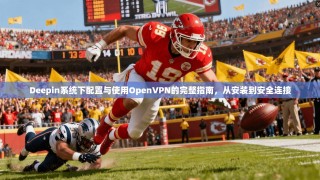 Deepin系统下配置与使用OpenVPN的完整指南，从安装到安全连接