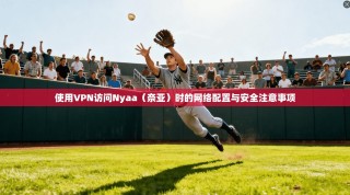 使用VPN访问Nyaa（奈亚）时的网络配置与安全注意事项