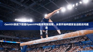 CentOS系统下搭建OpenVPN服务完整指南，从零开始构建安全远程访问通道