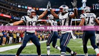 解析Tree of Life VPN，安全性与隐私保护的深度剖析