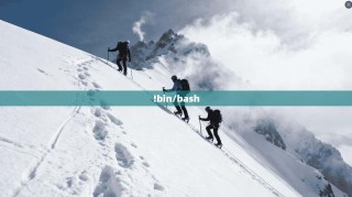 !bin/bash