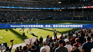 ExpressVPN中文版使用指南，安全、稳定与隐私保护的网络选择