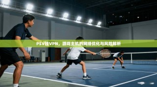 PSV挂VPN，游戏主机的网络优化与风险解析