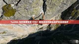 Tumblr 为何需要使用 VPN？网络访问与隐私保护的深度解析