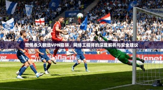 警惕永久翻墙VPN陷阱，网络工程师的深度解析与安全建议