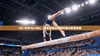 SSL VPN for Mac，安全远程访问的利器与配置指南