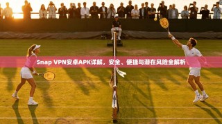 Snap VPN安卓APK详解，安全、便捷与潜在风险全解析