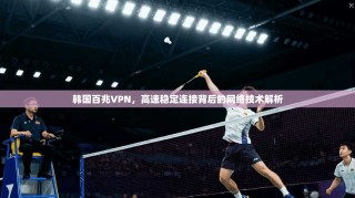 韩国百兆VPN，高速稳定连接背后的网络技术解析