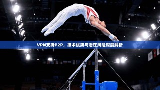 VPN支持P2P，技术优势与潜在风险深度解析