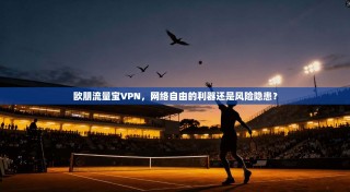欧朋流量宝VPN，网络自由的利器还是风险隐患？