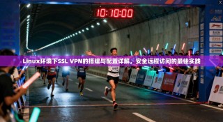 Linux环境下SSL VPN的搭建与配置详解，安全远程访问的最佳实践