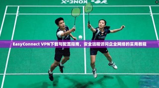 EasyConnect VPN下载与配置指南，安全远程访问企业网络的实用教程