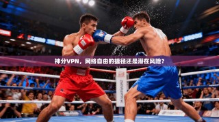 神分VPN，网络自由的捷径还是潜在风险？