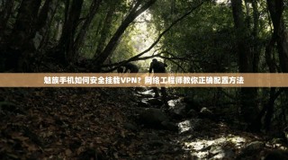 魅族手机如何安全挂载VPN？网络工程师教你正确配置方法