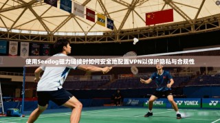 使用Seedog磁力链接时如何安全地配置VPN以保护隐私与合规性
