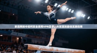 家庭网络中如何安全使用VPN盒子，从配置到最佳实践指南