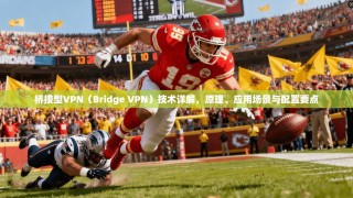 桥接型VPN（Bridge VPN）技术详解，原理、应用场景与配置要点