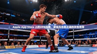 Apple App Store 上的VPN应用，安全与合规之间的灰色地带