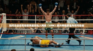 如何合法合规地使用虚拟私人网络（VPN）提升网络安全与访问自由
