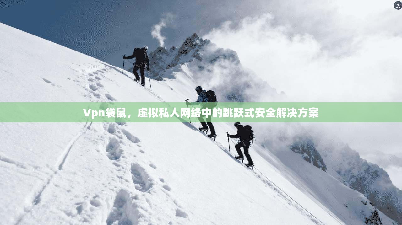 Vpn袋鼠，虚拟私人网络中的跳跃式安全解决方案