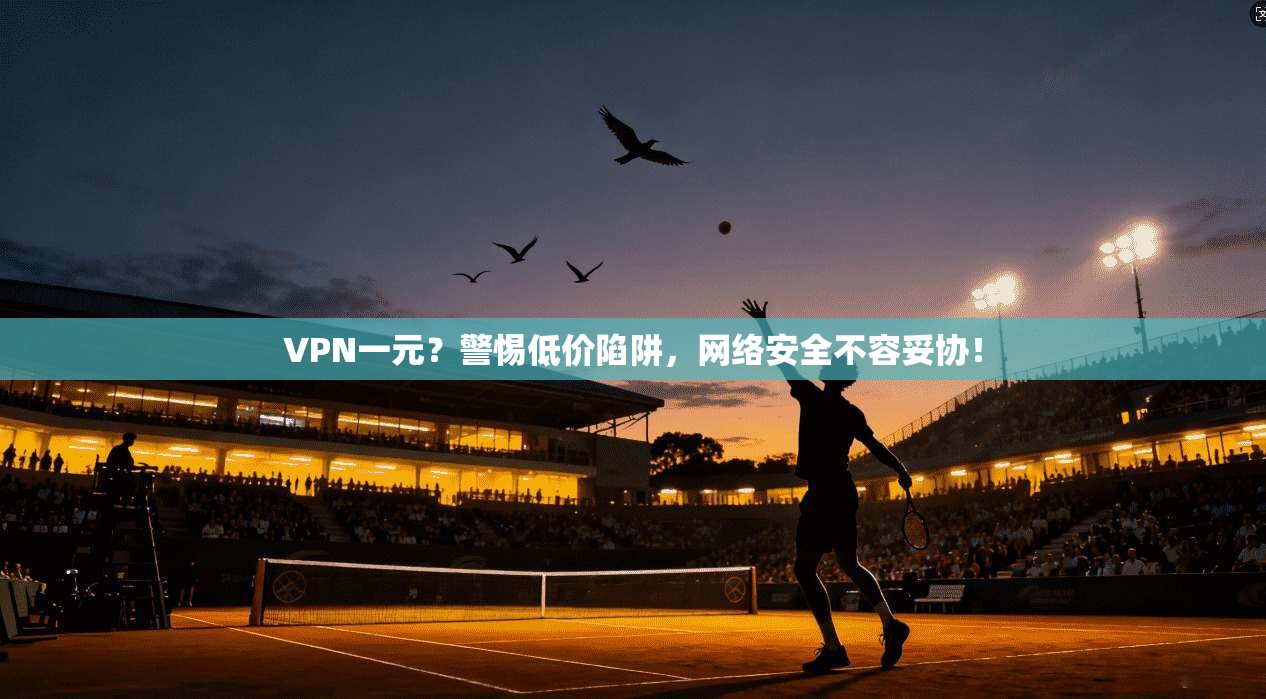 VPN一元？警惕低价陷阱，网络安全不容妥协！