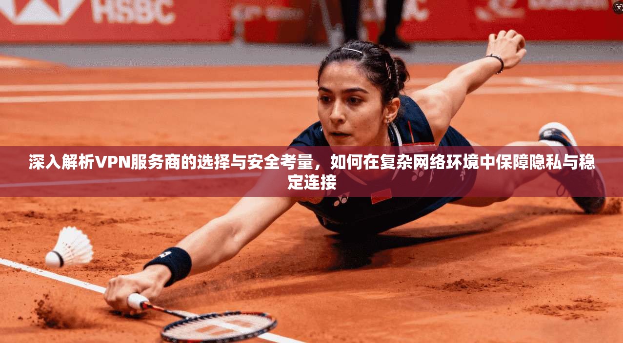 深入解析VPN服务商的选择与安全考量，如何在复杂网络环境中保障隐私与稳定连接