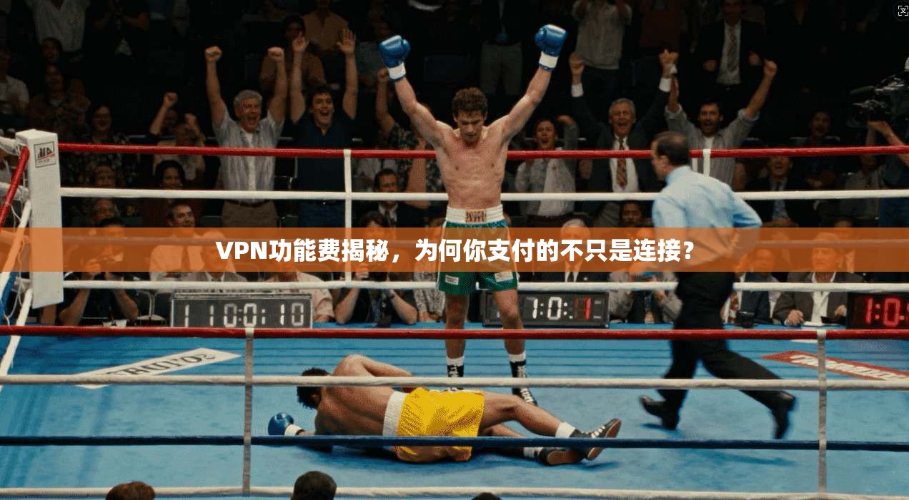 VPN功能费揭秘，为何你支付的不只是连接？