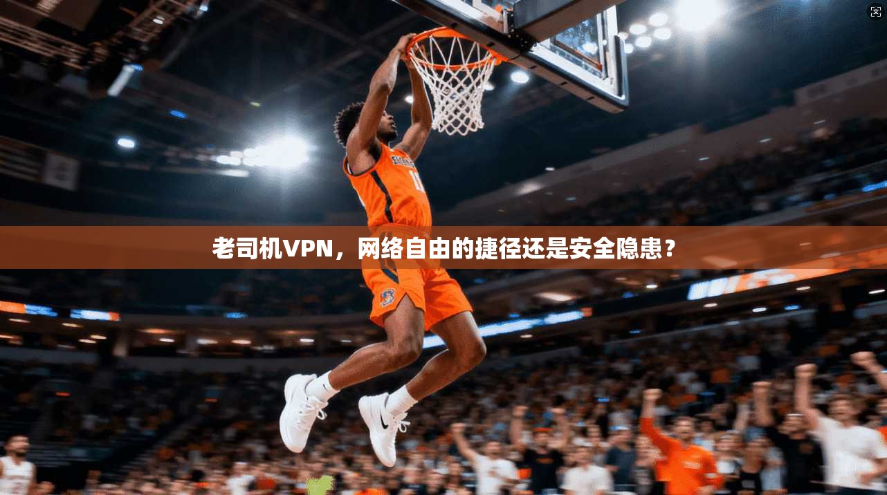 老司机VPN，网络自由的捷径还是安全隐患？