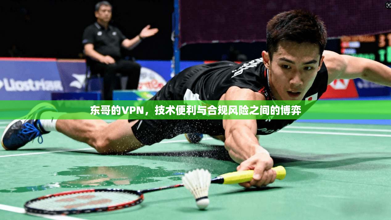 东哥的VPN，技术便利与合规风险之间的博弈