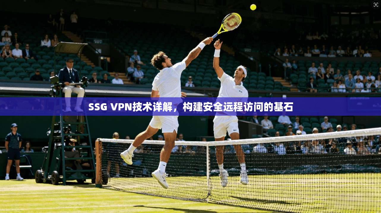 SSG VPN技术详解，构建安全远程访问的基石